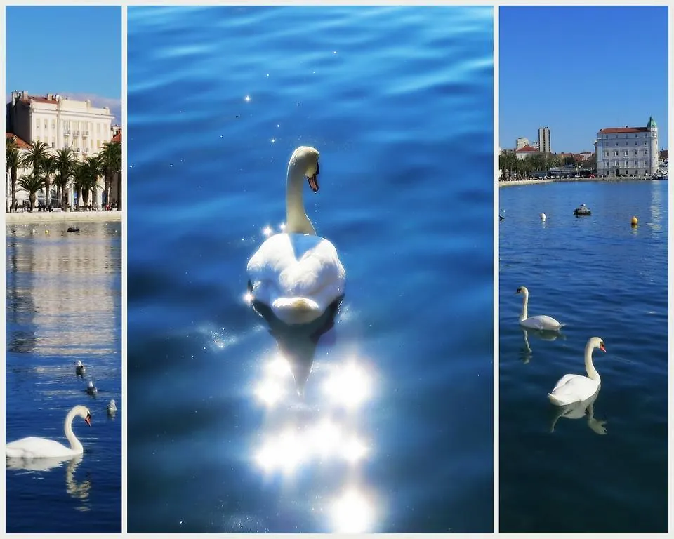 Residenza Apartments Split Croatia